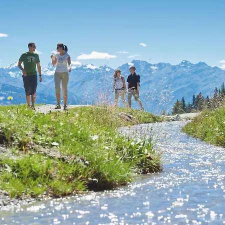 Faucon 1b By Interhome Apartment Vermala