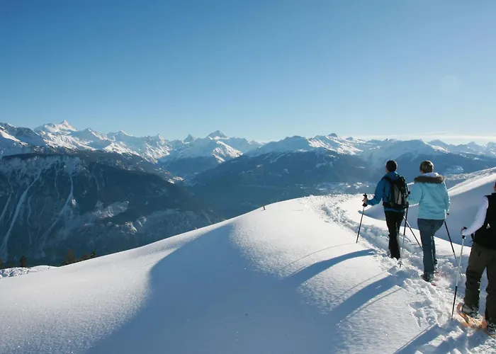 Faucon 1b By Interhome Crans-Montana